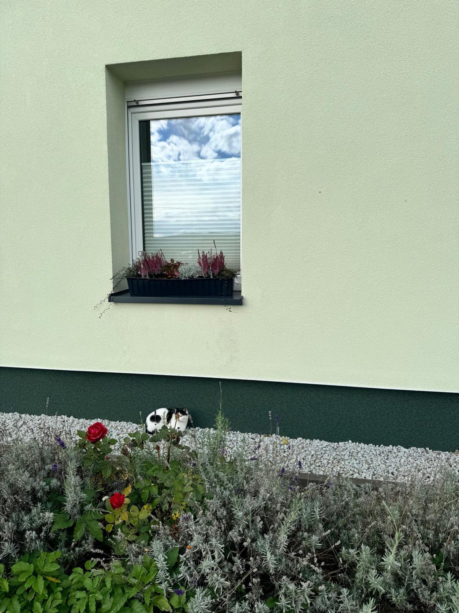 Viridi Apartment Radomierz Екстериор снимка